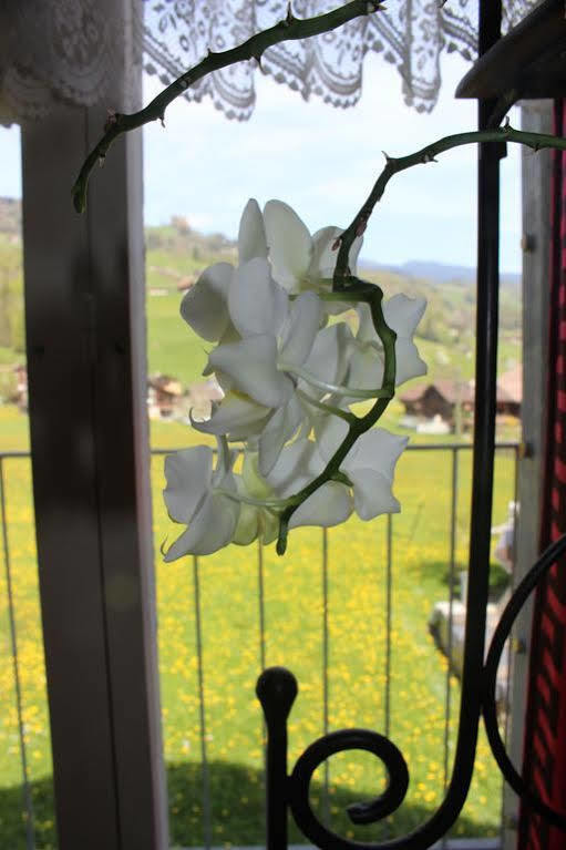 Landgasthof Grossteil Giswil Exterior foto